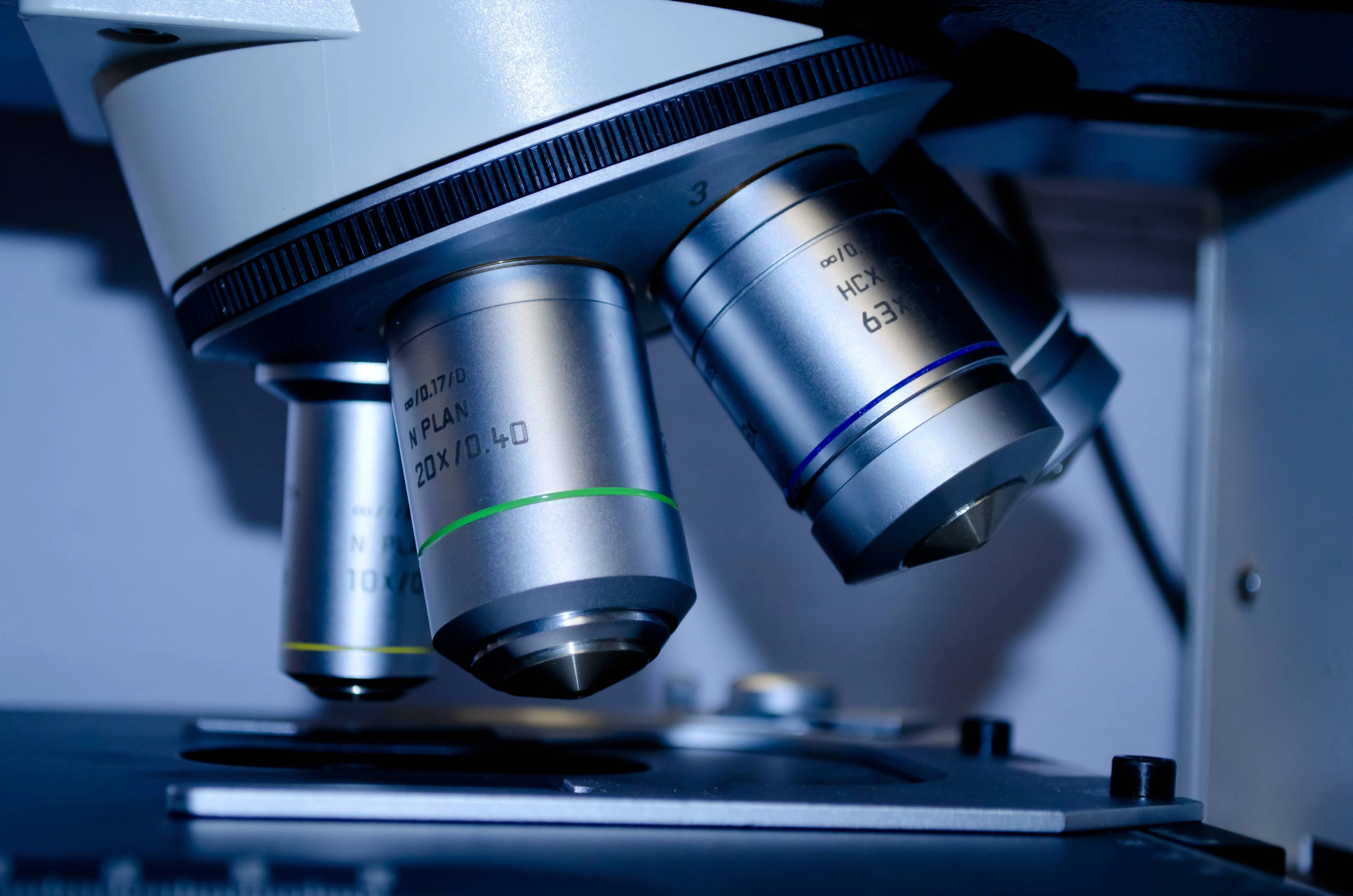 Live blood morphology analysis
